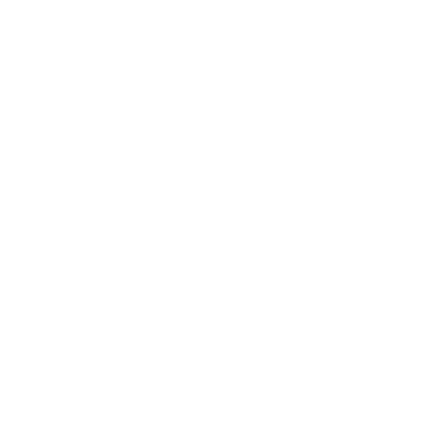 Anna Louise Feinerman